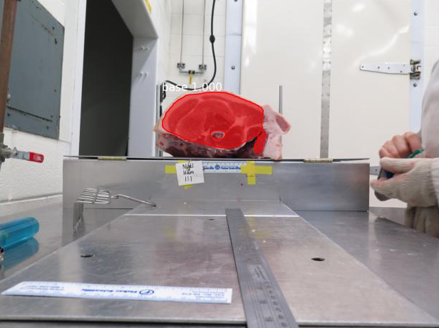 Using Self Supervised Learning for Annotation Reduction in Segmenting Beef Cuts